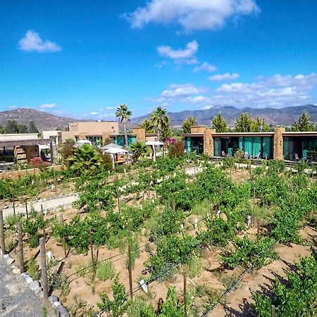 Entre Vinedos By Hotel Boutique 장크트 고아르스하우젠 외부 사진