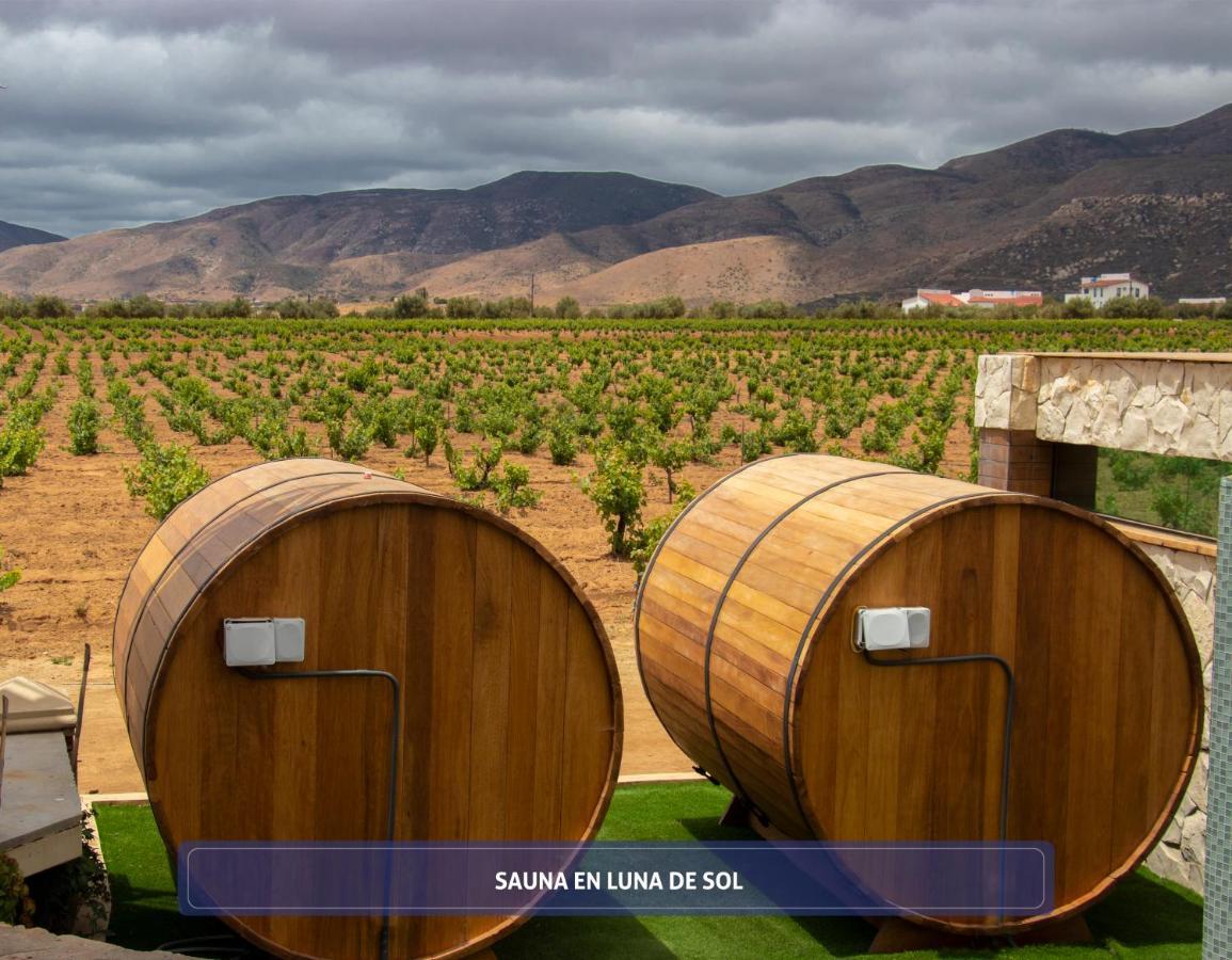 Entre Vinedos By Hotel Boutique 장크트 고아르스하우젠 외부 사진