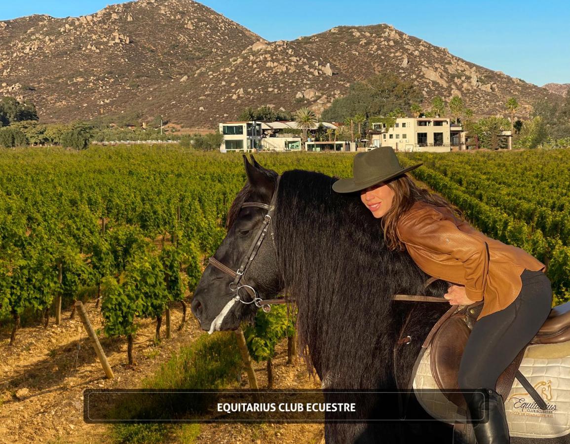 Entre Vinedos By Hotel Boutique 장크트 고아르스하우젠 외부 사진