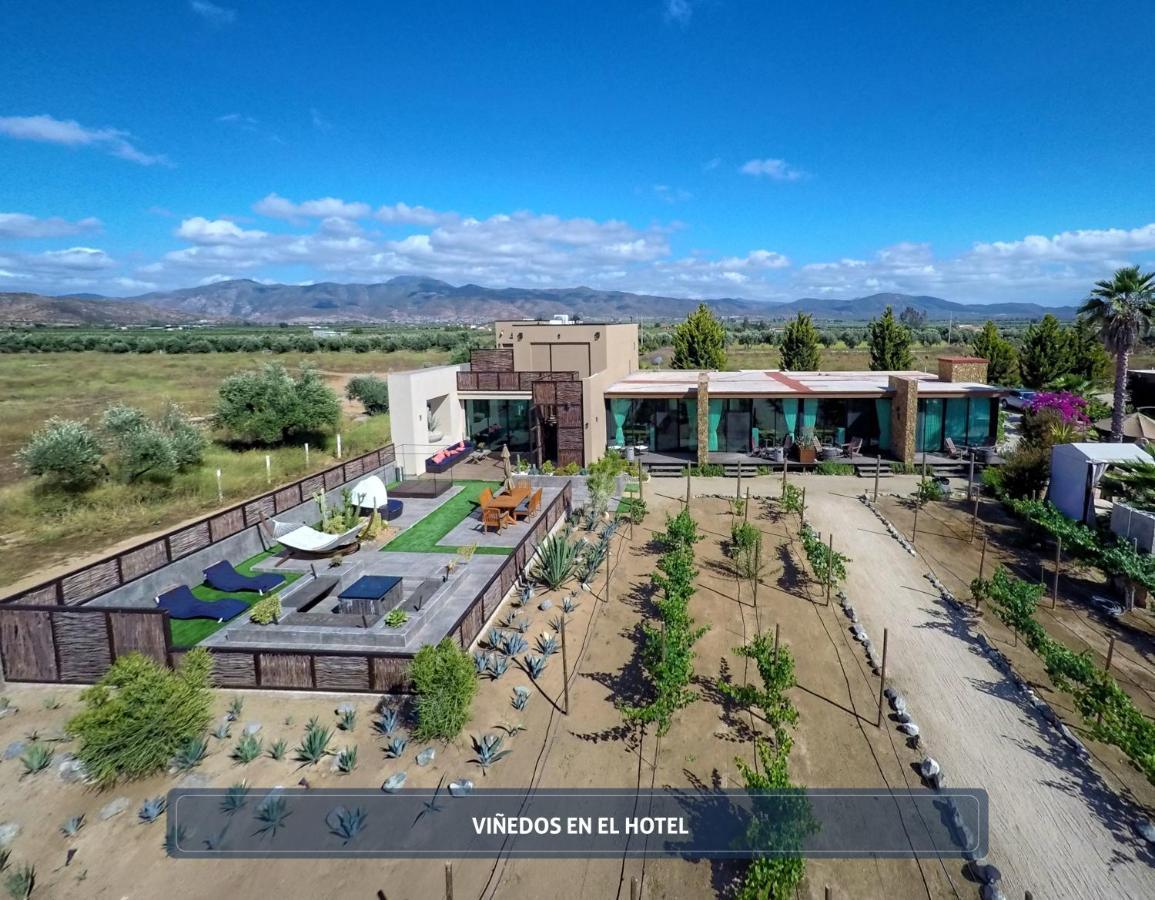 Entre Vinedos By Hotel Boutique 장크트 고아르스하우젠 외부 사진