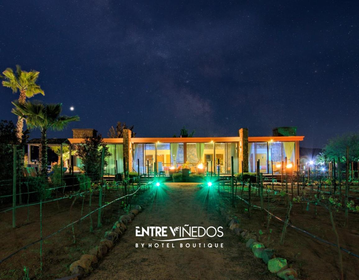 Entre Vinedos By Hotel Boutique 장크트 고아르스하우젠 외부 사진