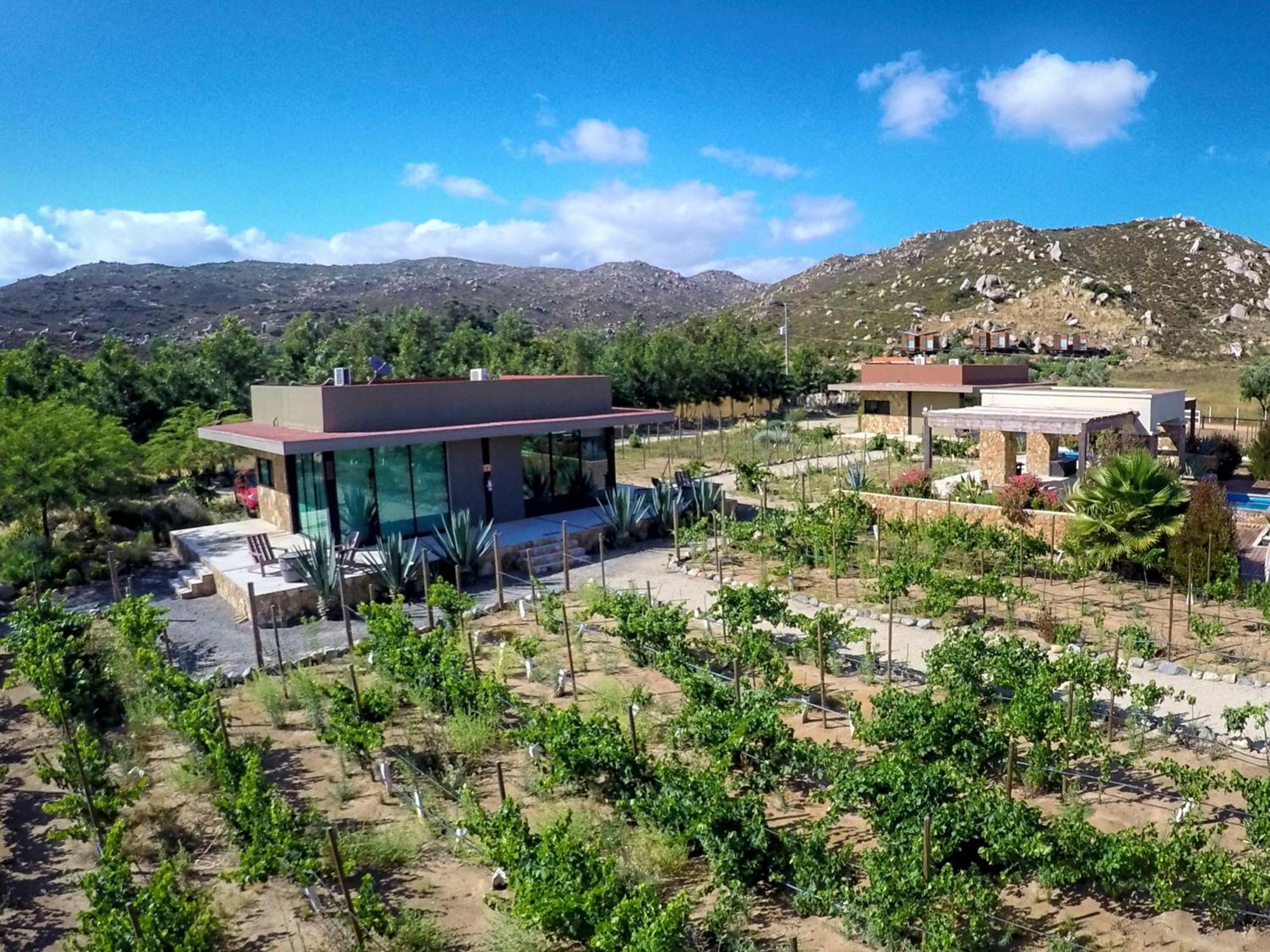 Entre Vinedos By Hotel Boutique 장크트 고아르스하우젠 객실 사진